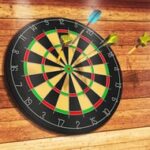 Darts Pro